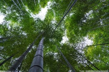 盈利点分析包括哪些内容？怎样分析企业的盈利能力？